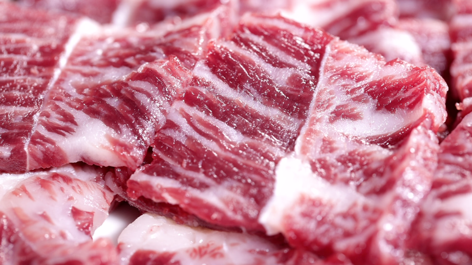 백반기행-해남-된장-샤브-고기-사진