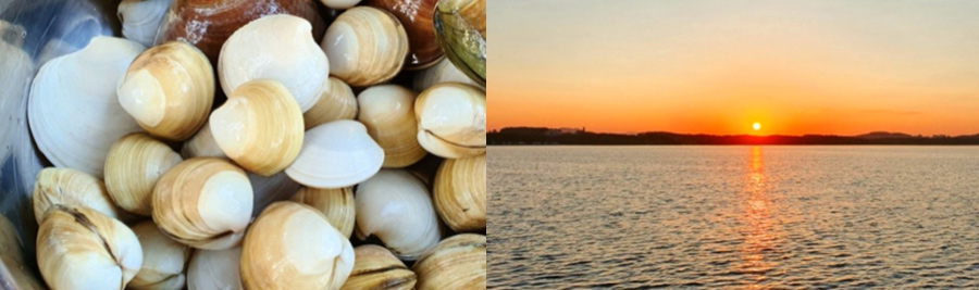 몽산포패밀리데이 캠핑장 사진