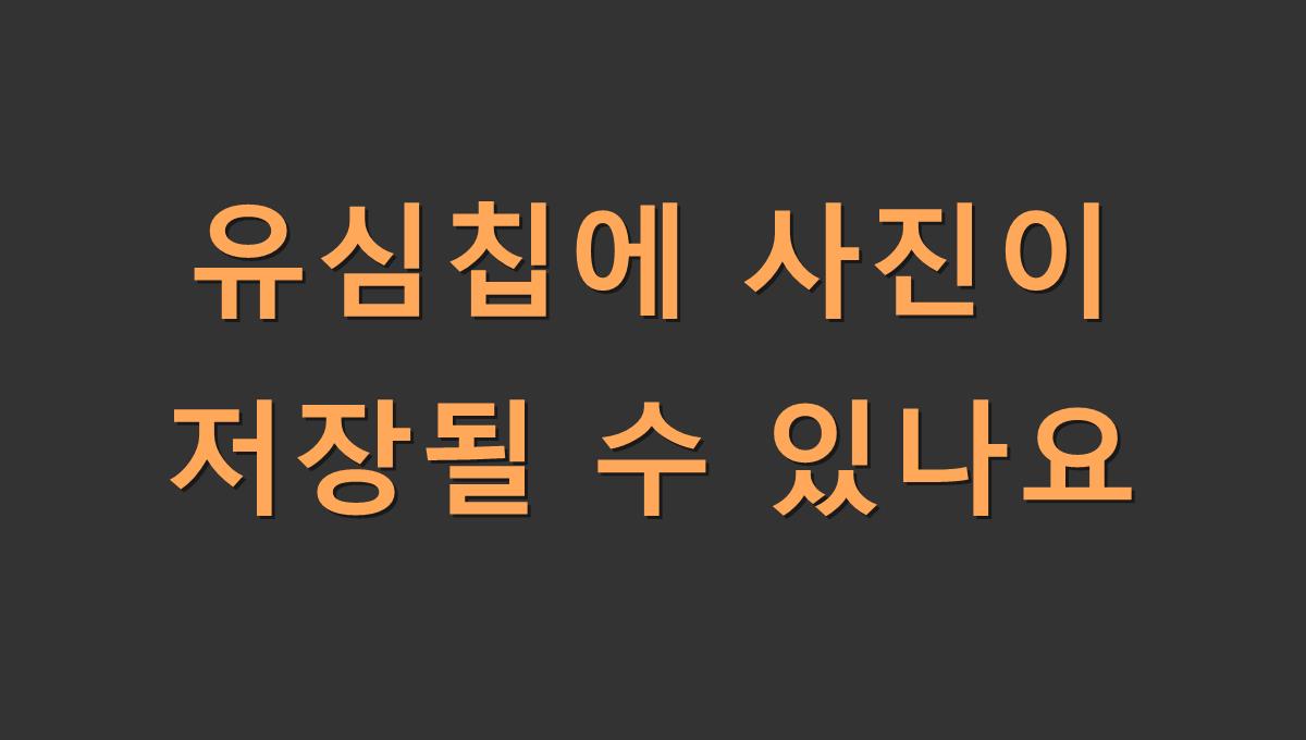 유심칩에 사진이 저장될 수 있나요
