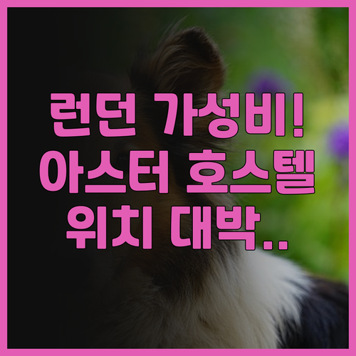 아스터 하이드 파크 호스텔 후기 런던..