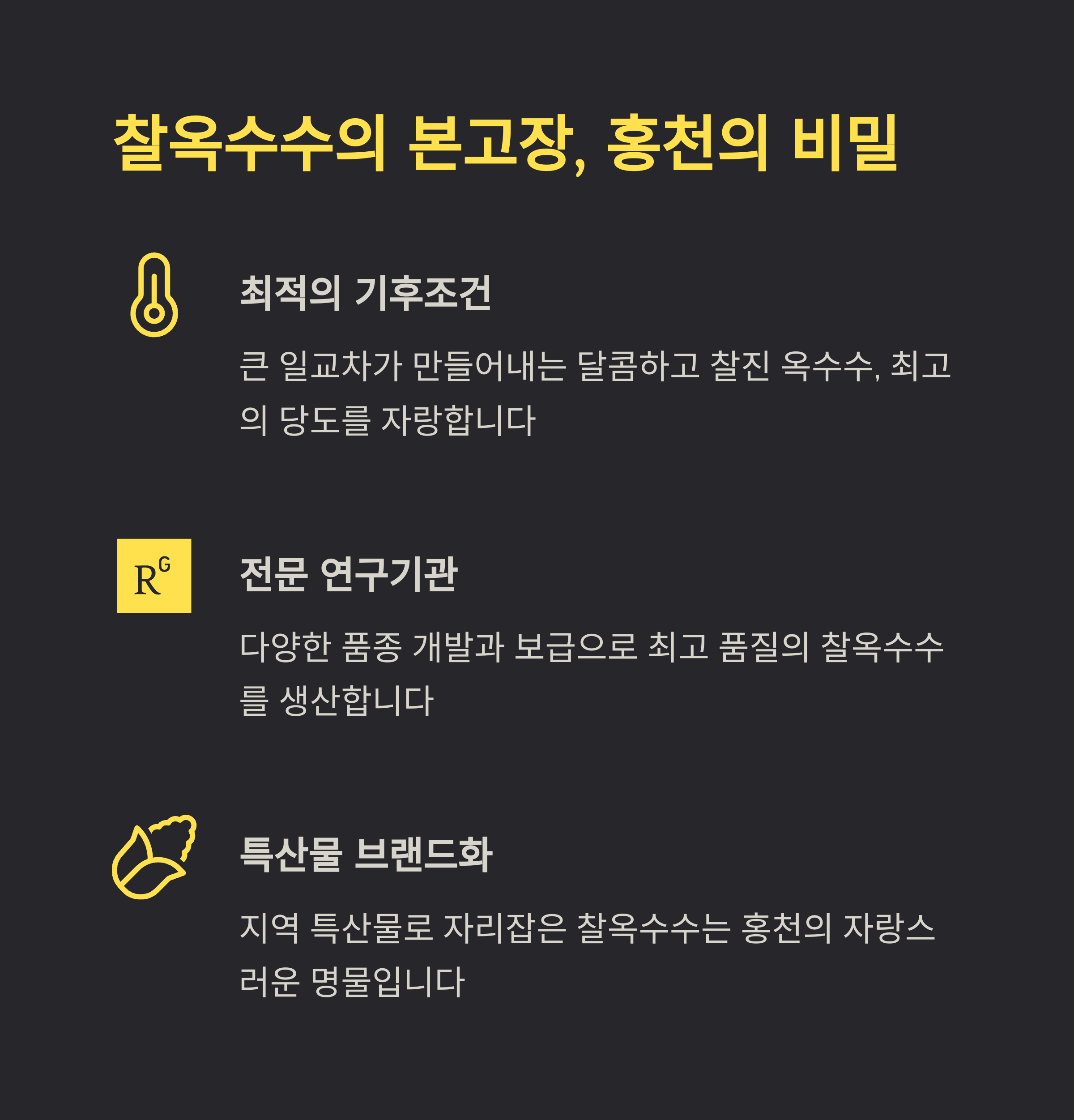 찰옥수수의 본고장, 홍천의 비밀