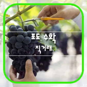 직거래 판매 준비 포장 가격 온라인마켓 택배 규정_5