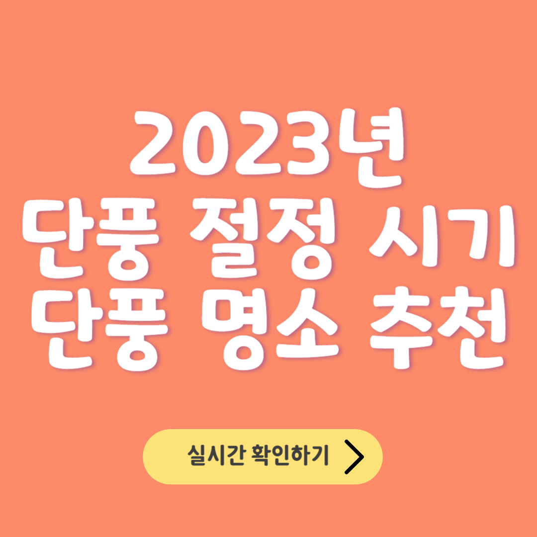 2023년 단풍 시기