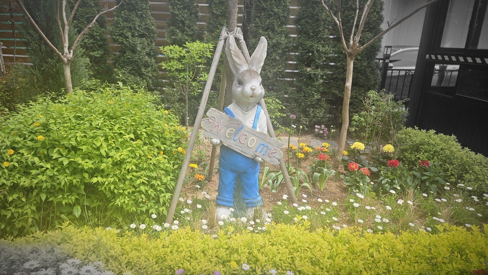 #평택 맛집&amp;#44; #평택조리고&amp;#44; #조리고본점&amp;#44; #평택코다리조림&amp;#44; #시래기코다리조림&amp;#44; #평택가족외식&amp;#44; #평택점심맛