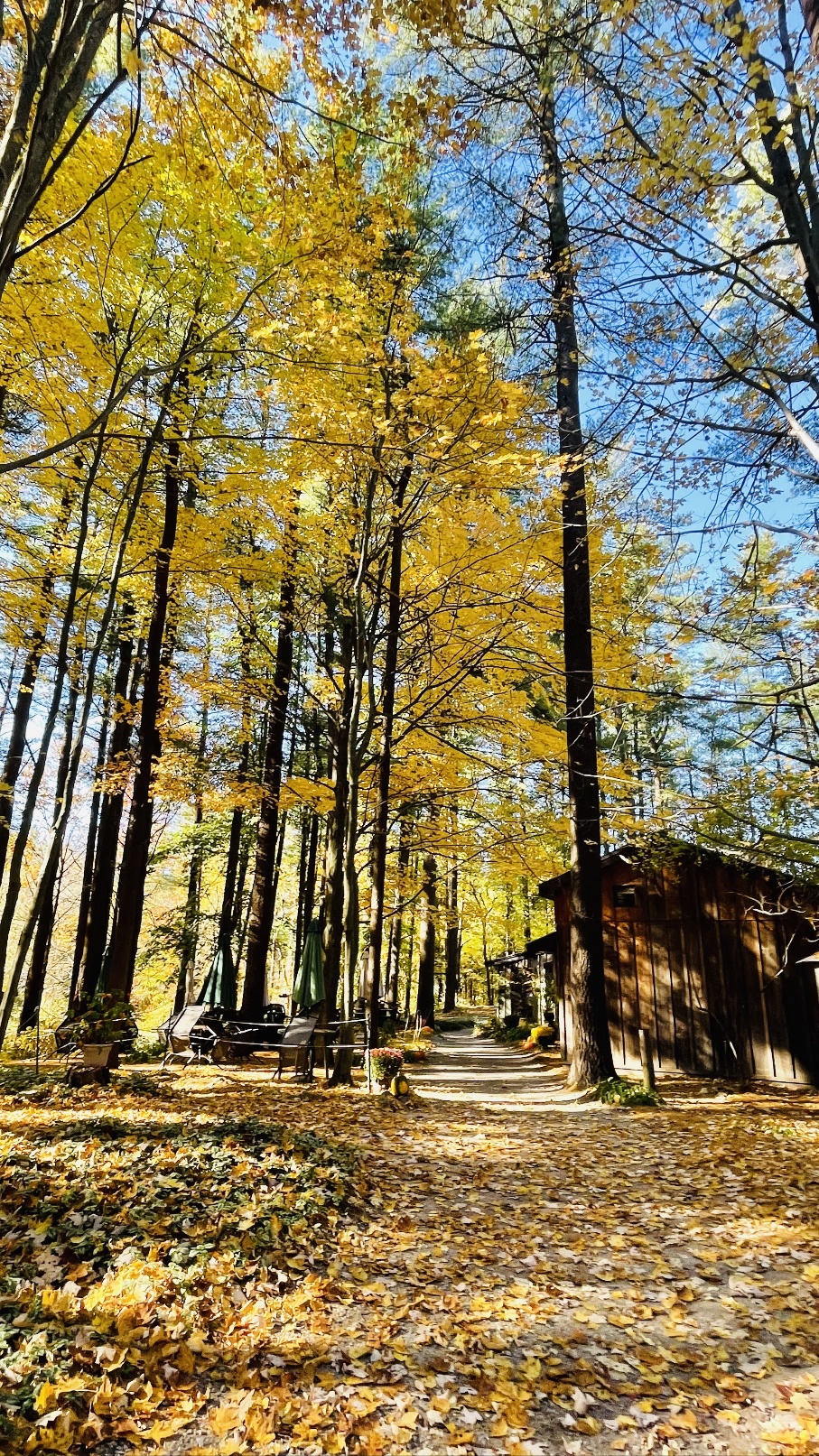 캐나다 런던 근교 하루 힐링 여행지 파인크로프트