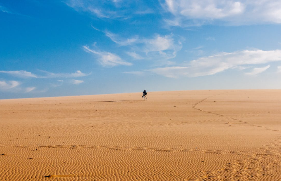 노니 부작용&amp;#44; 이 글로 종결! 