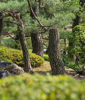 화담숲 테마별 사진