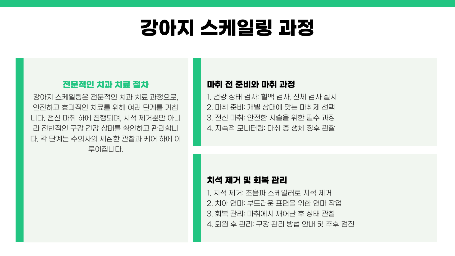 강아지 스케일링 주기 비용