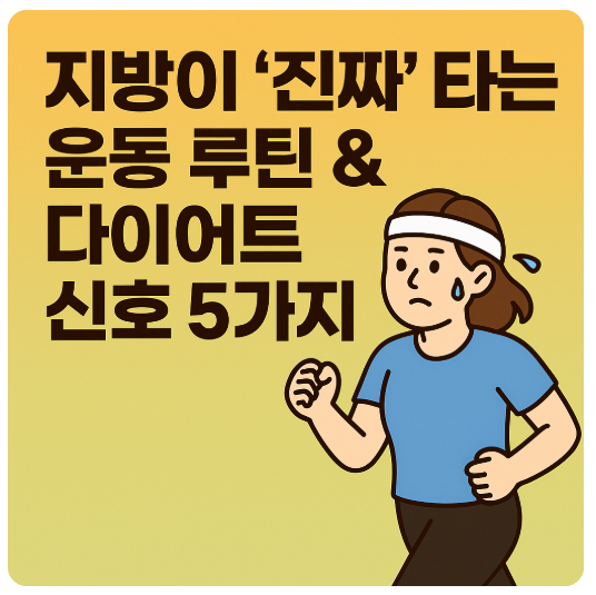 지방이 진짜 타는 운동 루틴과 다이어트 신호 5가지