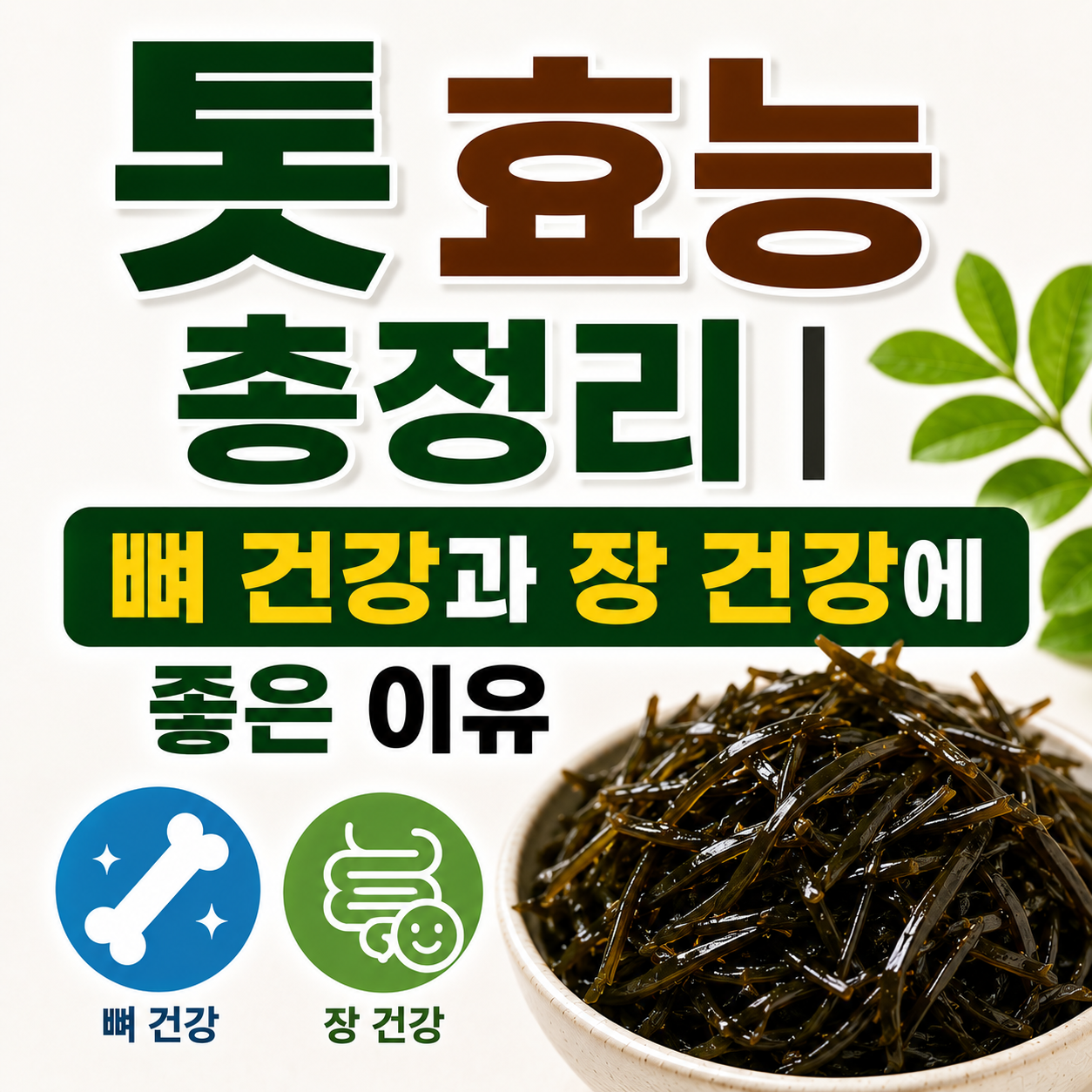 톳 효능