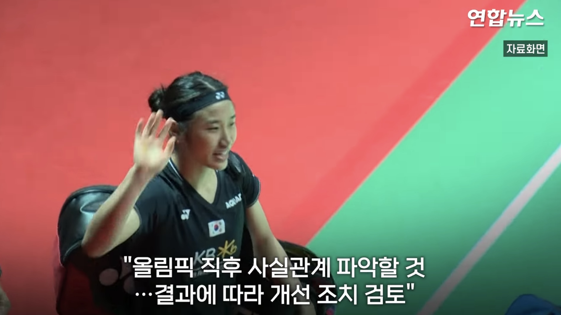 문체부 배드민턴