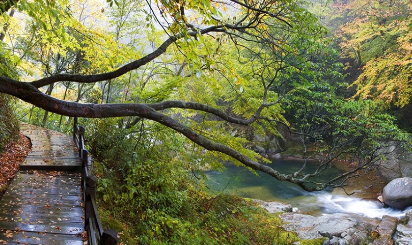 덕구온천 산책로