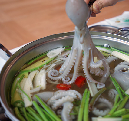 보성 다향대축제 보성 녹차축제