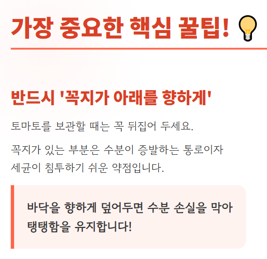 토마토 보관방법