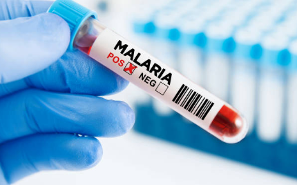 말라리아의 원인과 증상, 치료와 예방 방법