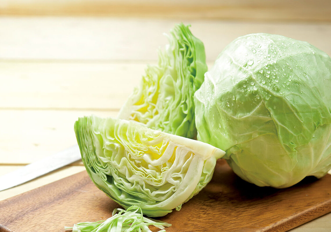 Cabbage 2