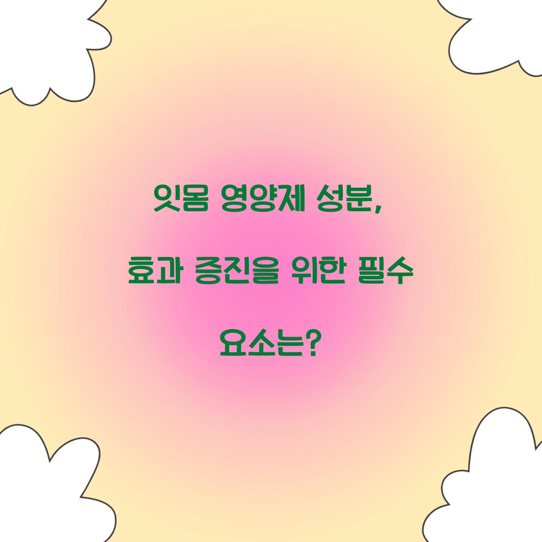 잇몸 영양제 성분