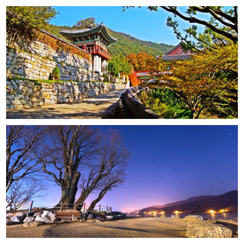 서울 근교 주말 나들이