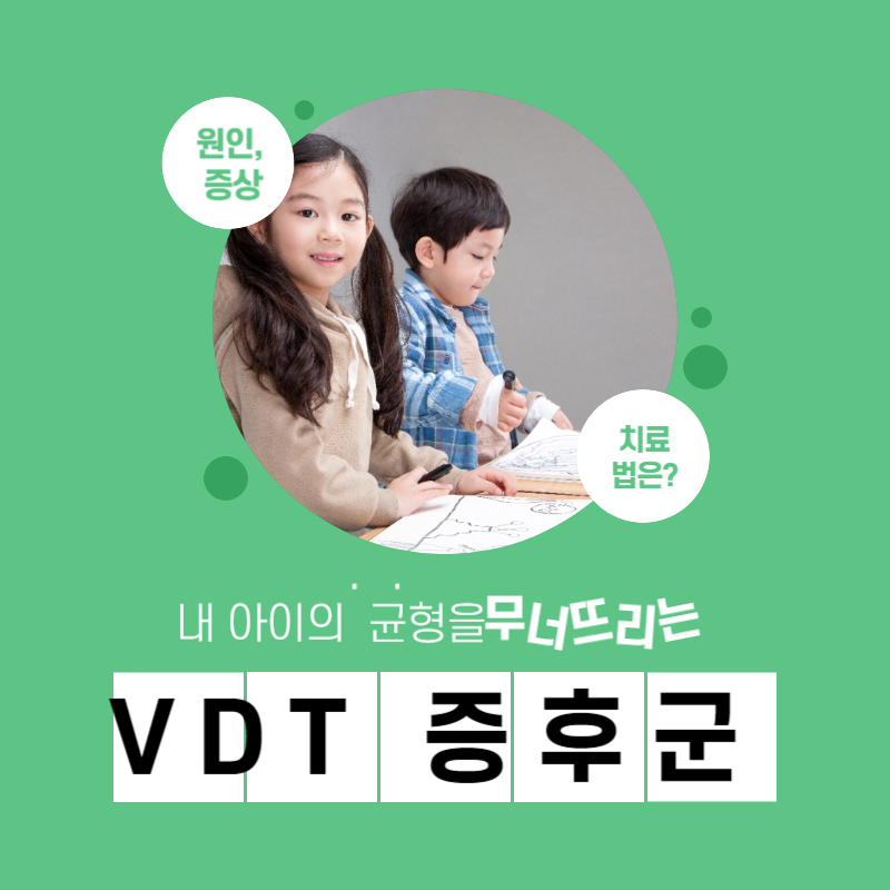 VDT 증후군 원인 증상 자가진단