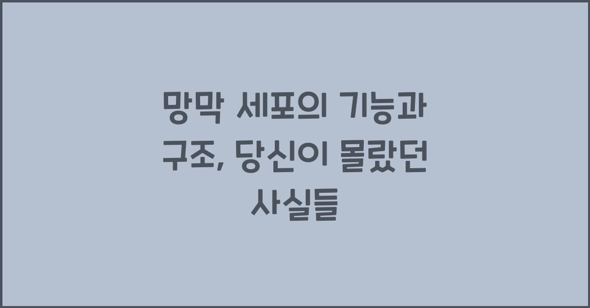 망막 세포의 기능과 구조