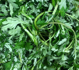 오복시루 주문방법