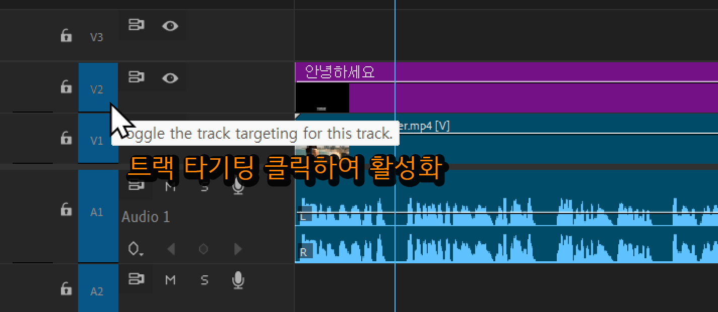 트랙 타깃팅