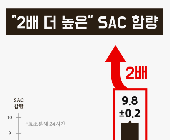 천풍초-흑마늘즙-효능