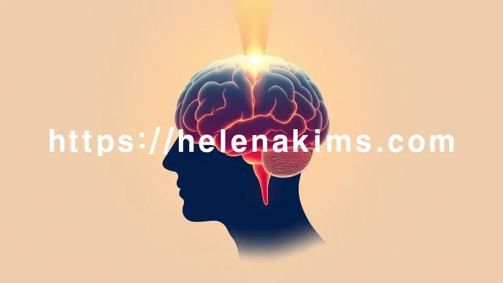 차분한 파스텔 톤 배경에 정교한 한 남자의 뇌 실루엣이 중앙에 있고, 뇌의 전반부는 선명하고 밝게 빛나지만, 후반부 일부는 점차 안개가 낀 듯 희미하게 표현되어 기억력 저하를 시각화한 이미지.
