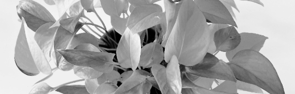 주기: 1주일에 1번