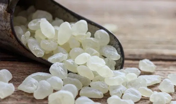 매스틱검 복용법&#44; 매스틱검 효능 효과&#44; 매스틱검 부작용