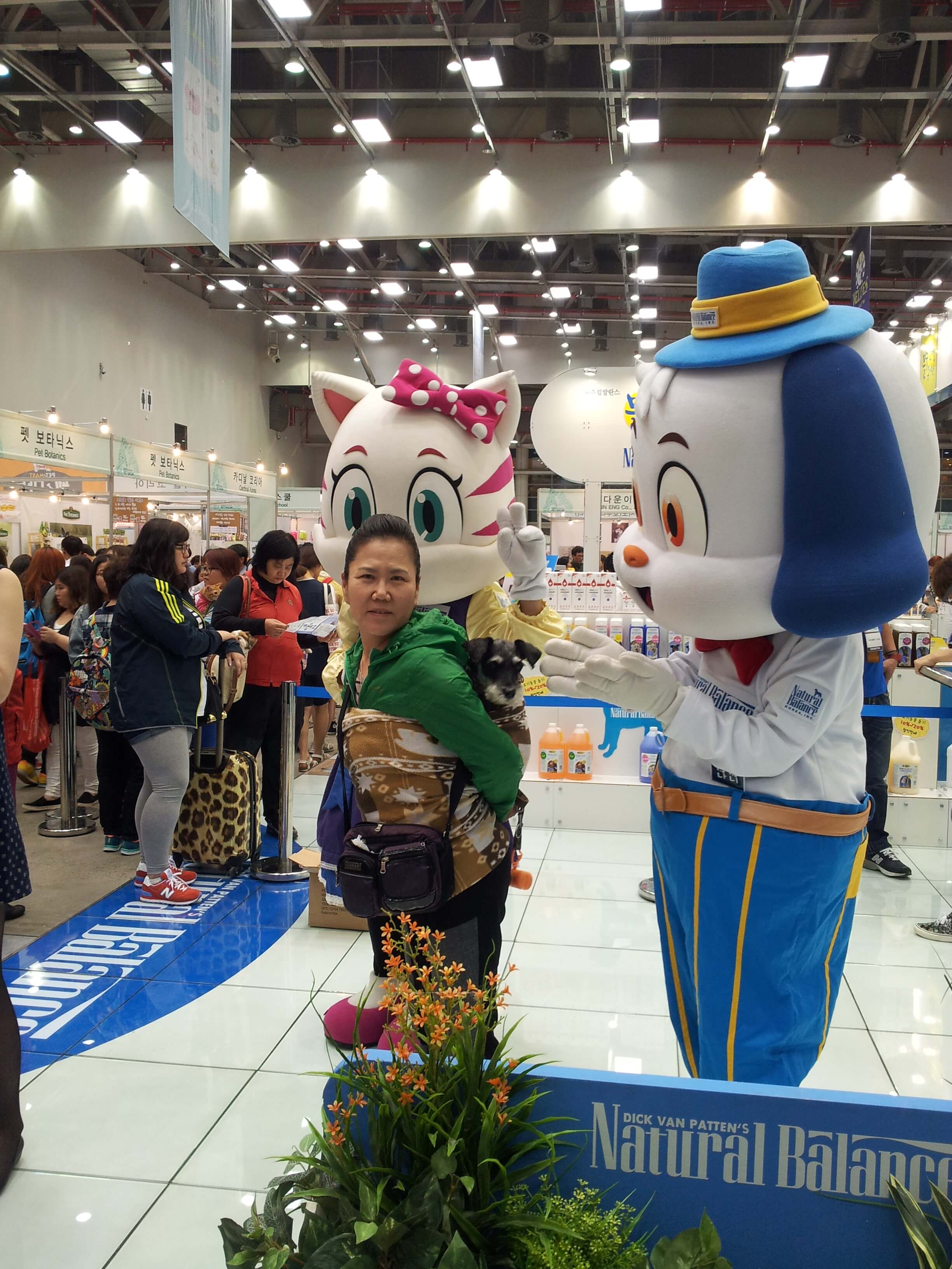 대구펫쇼 엄마랑 반려견 이벤트 참여중