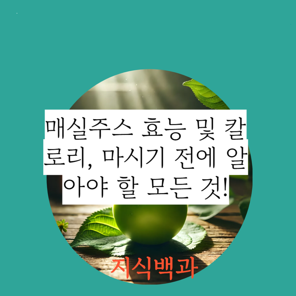 매실주스 효능 및 칼로리, 마시기 전에 알아야 할 모든 것!