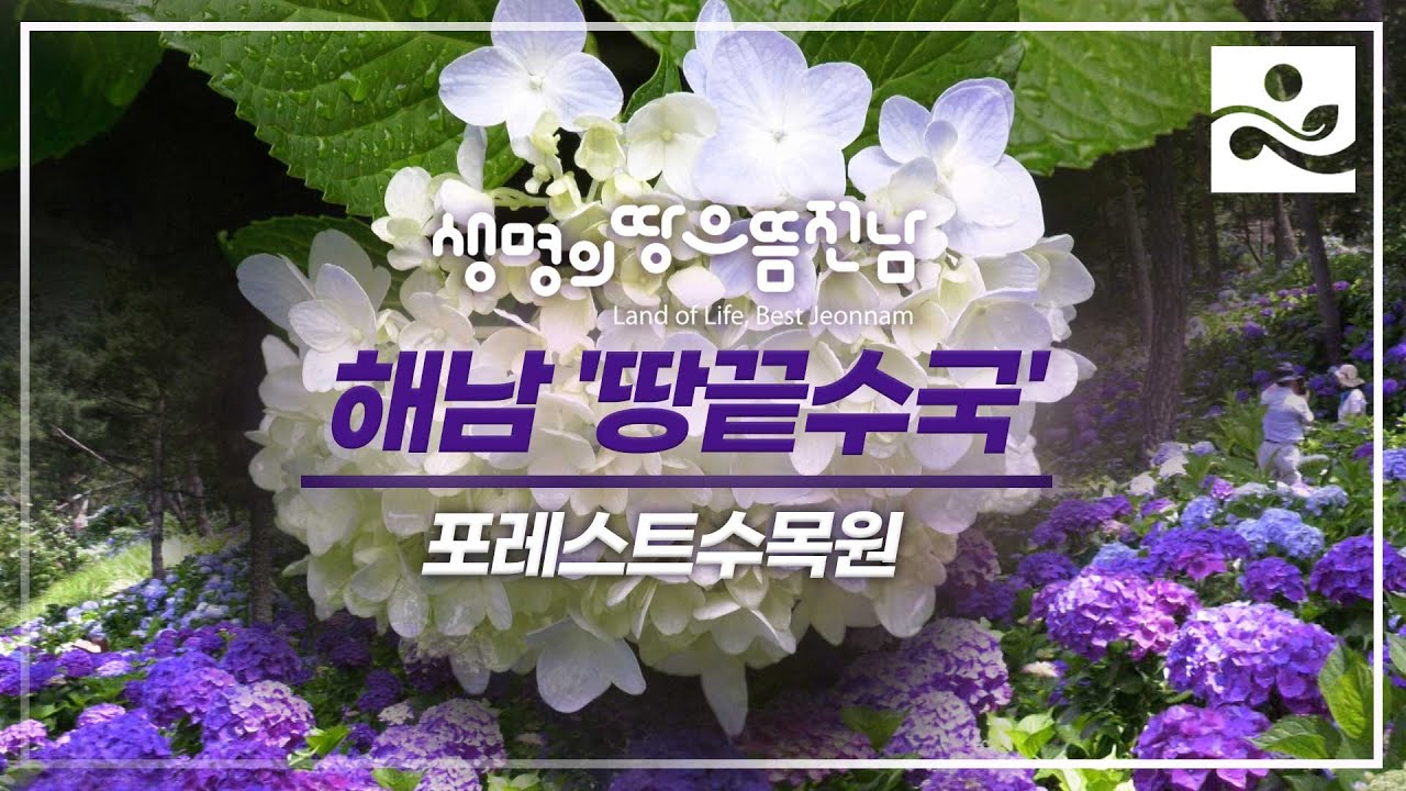 해남 가볼만한곳 - 포레스트수목원