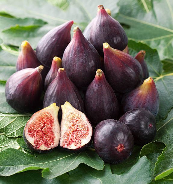 주머니 모양으로 생긴 무화과 사진