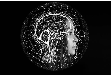 의사결정은 어디에서 이루어지나?