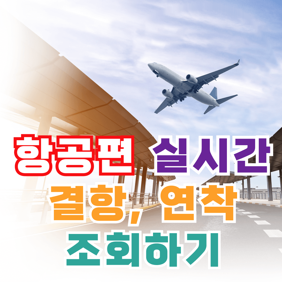 실시간 항공편 조회하기