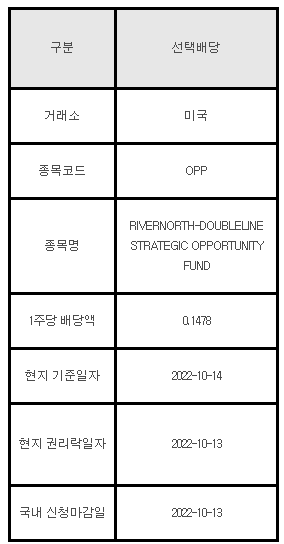 미국주식 선택배당 안내 OPP