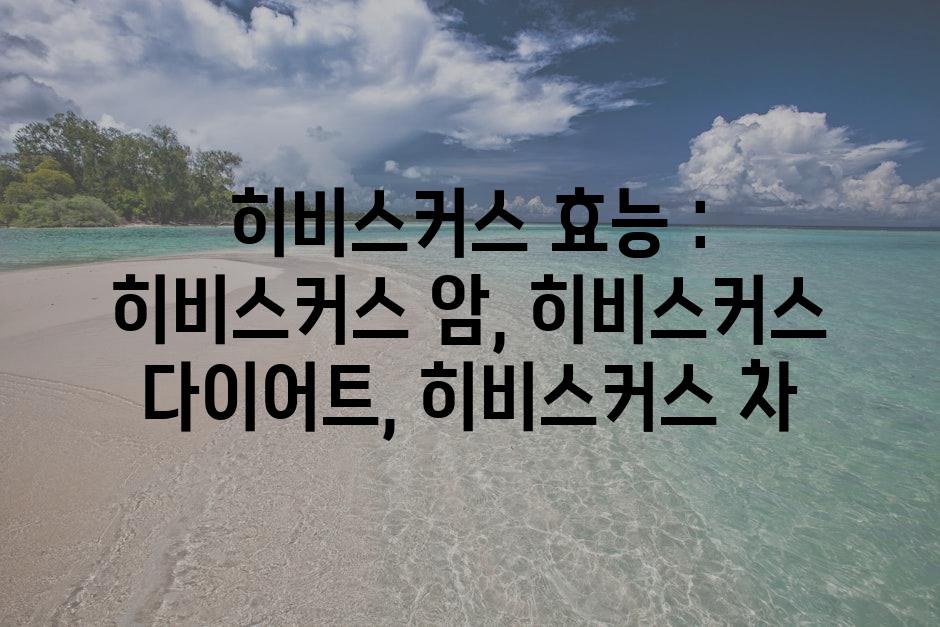 샘플 (2)