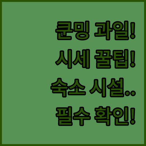 쿤밍 시장 과일 시세와 고르는 꿀팁 ..