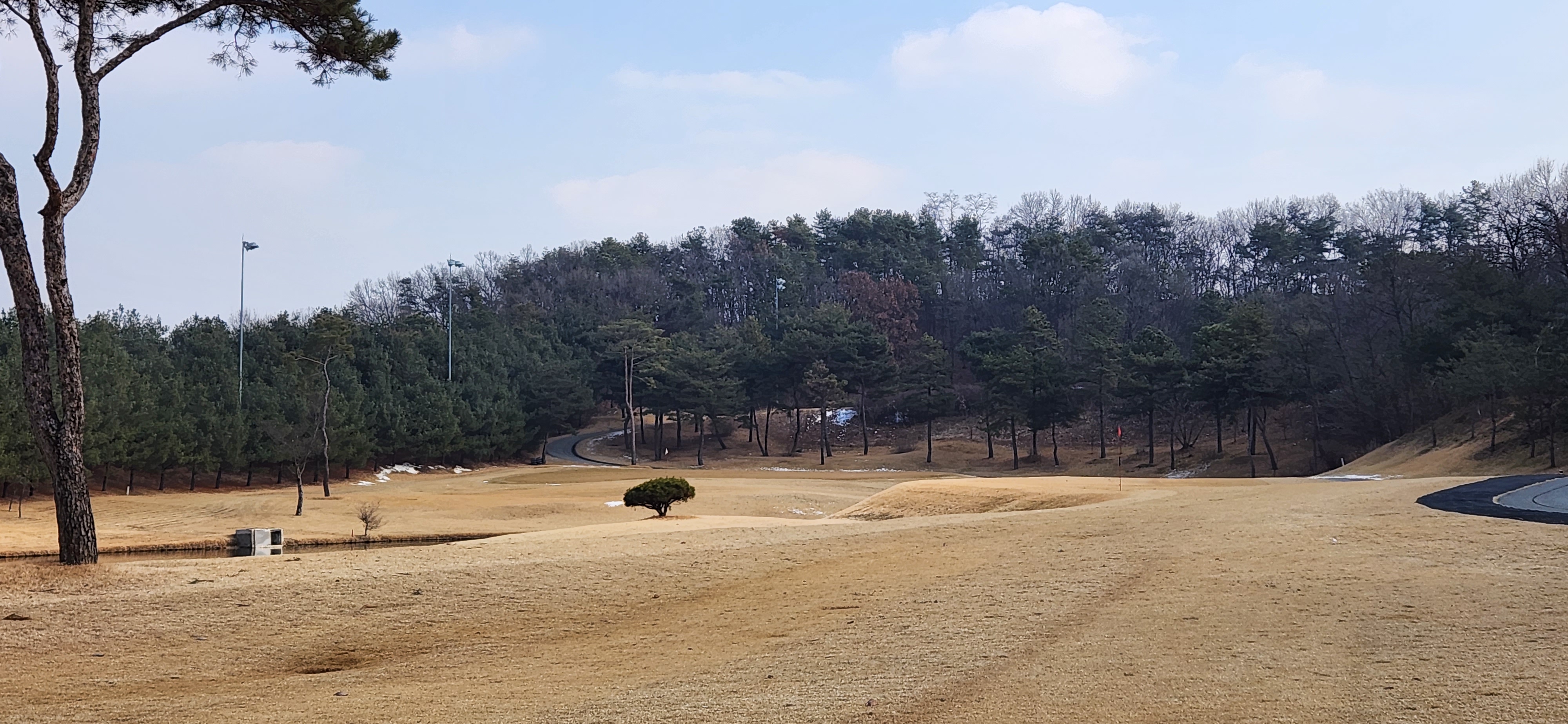 아리지cc