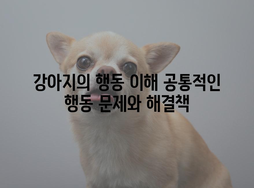 강아지의 행동 이해 공통적인 행동 문제와 해결책