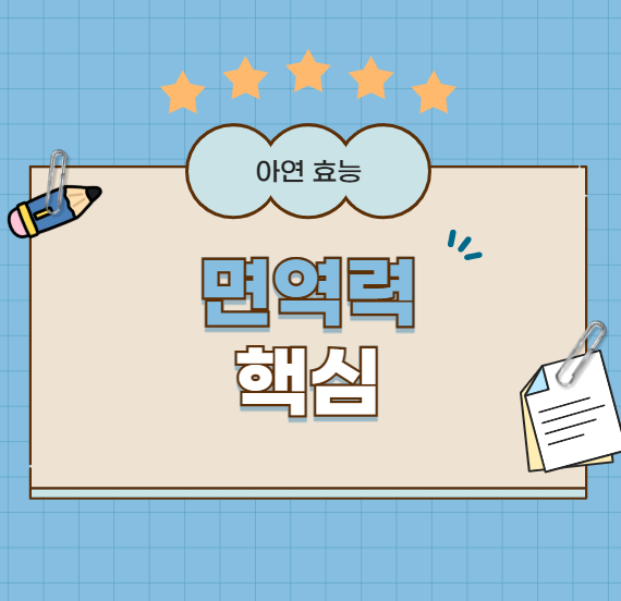 아연의 효능과 부족 증상, 하루 권장량 완벽 정리!