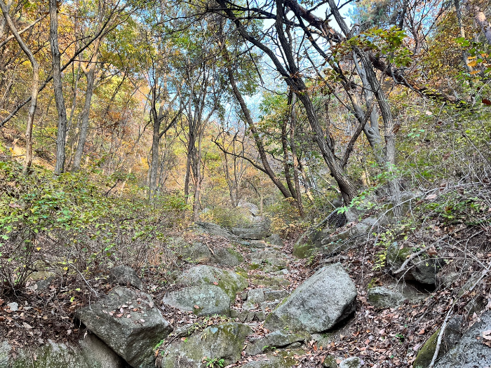 대흥사 가는 돌길