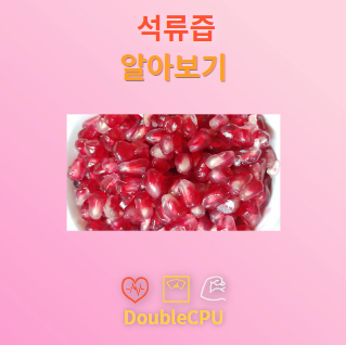 석류즙 탐구
