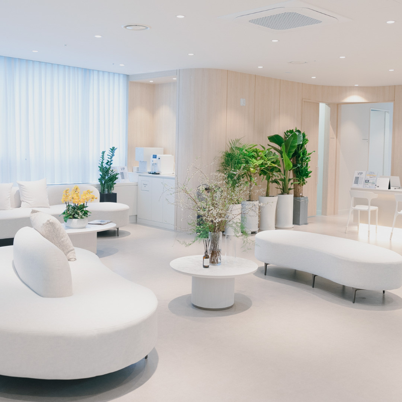 송파구 잠실6동 피부과 유명한 곳 모공 레이저 잘하는 곳 추천 TOP 5