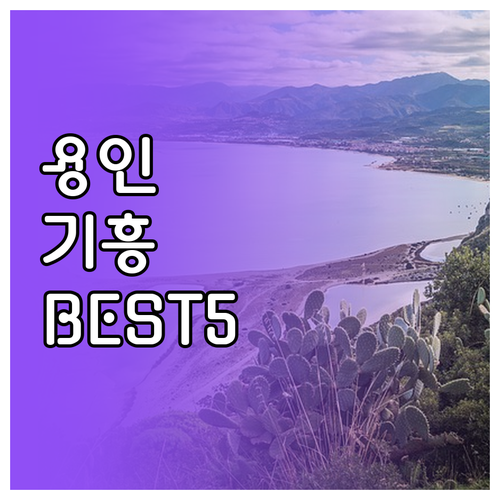 1월 용인 기흥구 가볼만한곳 TOP5..