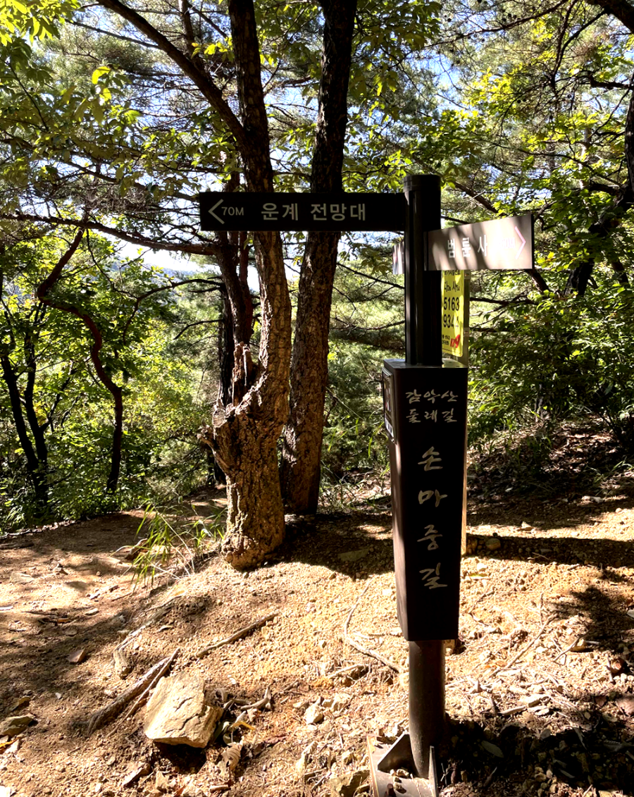 파주 감악산 출렁다리