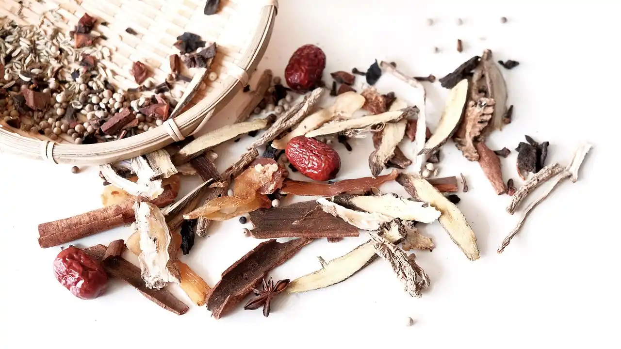 공진단 효능과 부작용 총정리 – 좋은 공진단 고르는 법