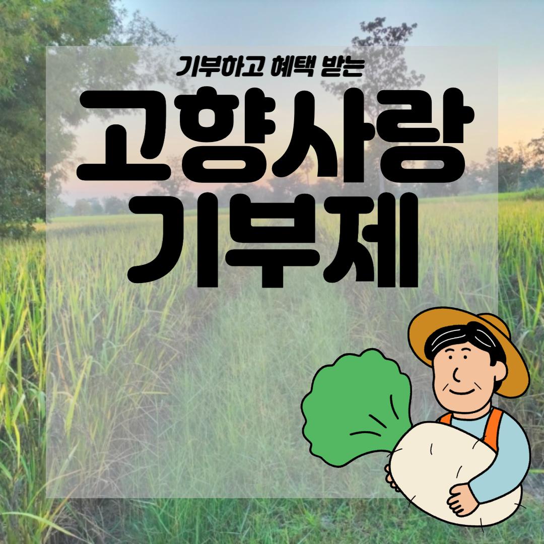고향사랑 기부제