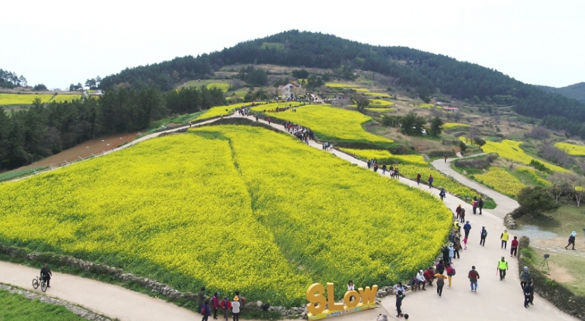 청산도 